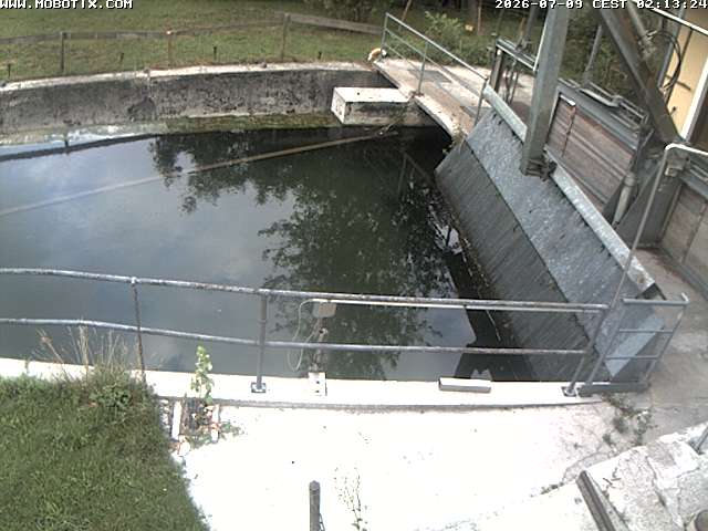Camera Live Image